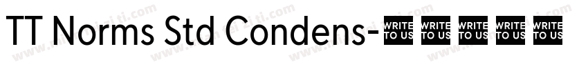 TT Norms Std Condens字体转换